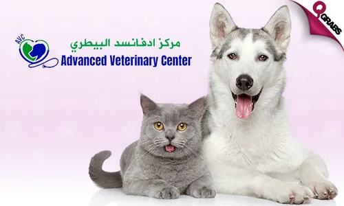 Pet Grooming for Dogs & Cats at Advanced Veterinary Center!